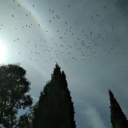 Le Clos Fleuri 3* ناربون